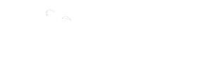 FLIP Enterprise – Small Business Solutions Logo